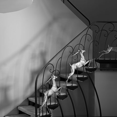 Williams Residence, Janna Ireland, 2026