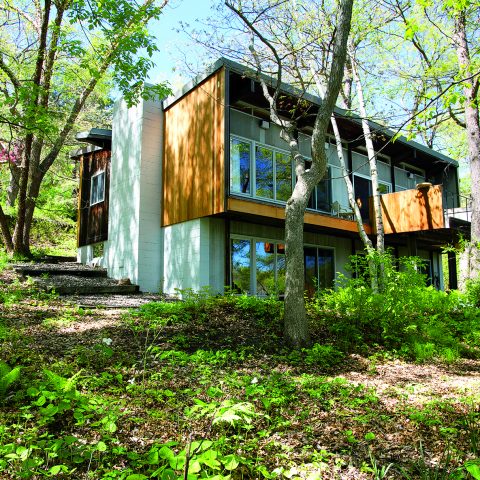 Oskam House (Edina, MN, 1962). Photo: William B. Olexy